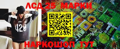 индика Партизанск
