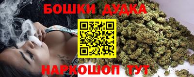 индика Партизанск