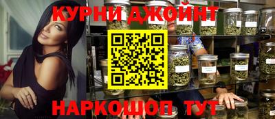 индика Партизанск