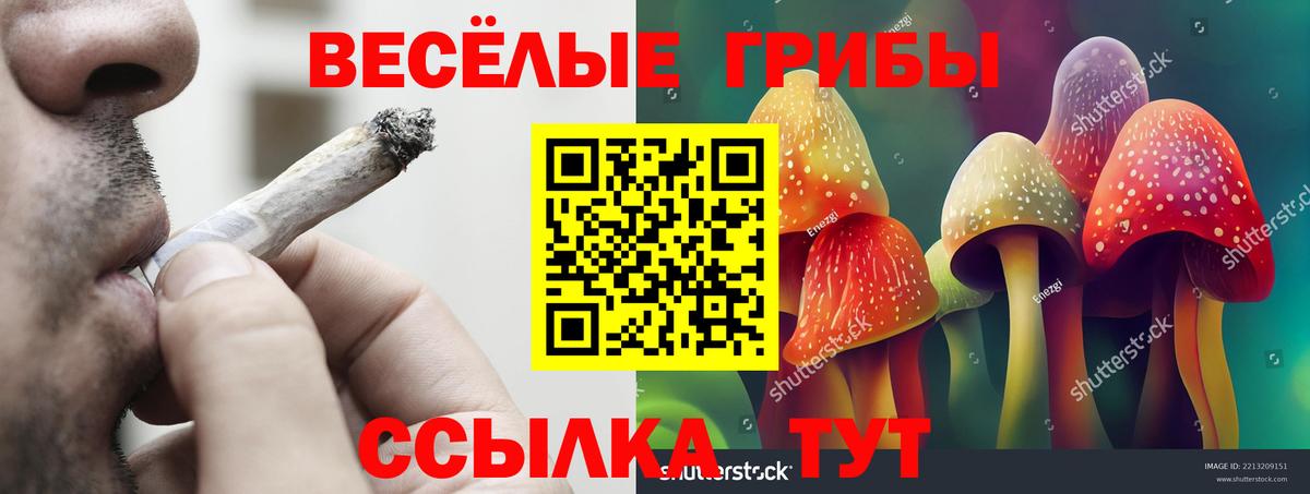 Псилоцибиновые грибы Psilocybine cubensis Пушкино